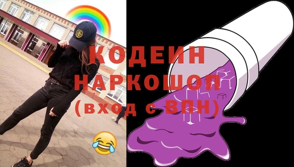 ГАЛЛЮЦИНОГЕННЫЕ ГРИБЫ Абаза